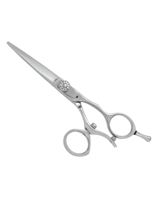 Professional Hair Cutting Scissors