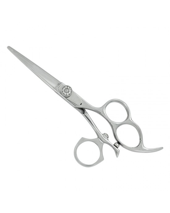 Professional Hair Cutting Scissors