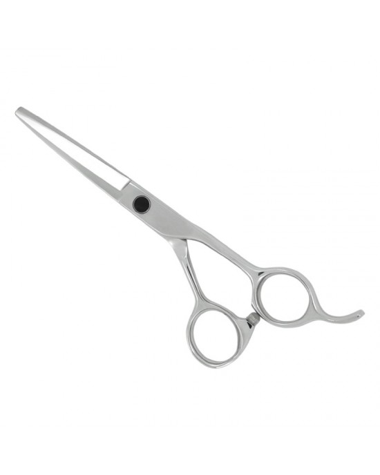 Professional Hair Cutting Scissors