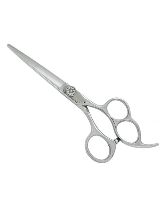 Professional Hair Cutting Scissors