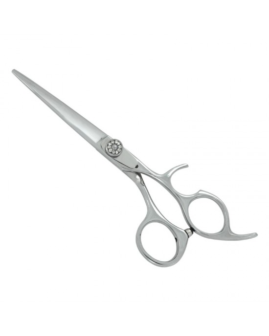 Professional Hair Cutting Scissors