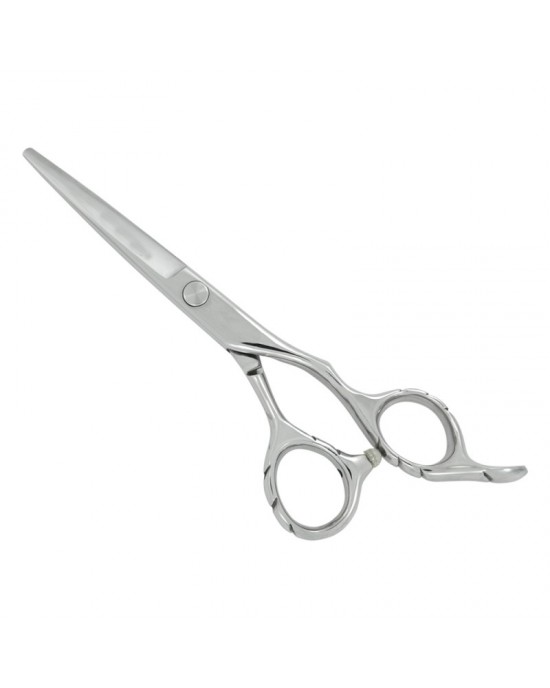 Professional Hair Cutting Scissors
