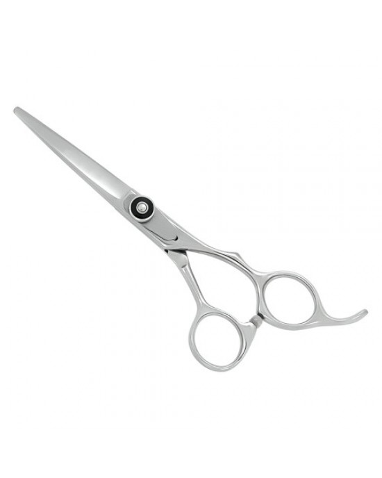Professional Hair Cutting Scissors