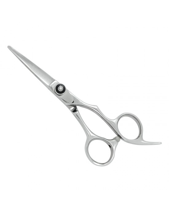 Professional Hair Cutting Scissors
