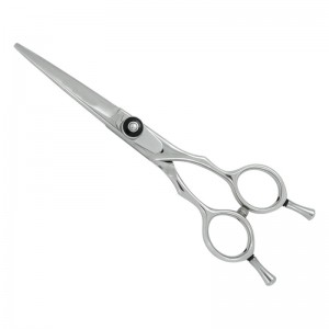 Professional Hair Cutting Scissors