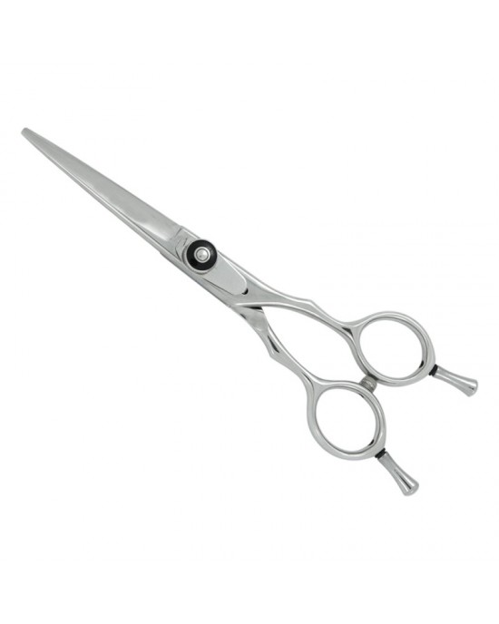 Professional Hair Cutting Scissors