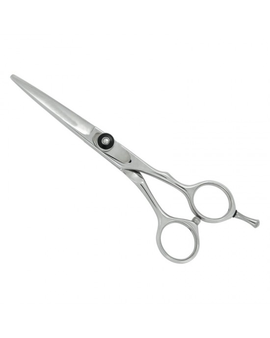Professional Hair Cutting Scissors