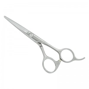 Professional Hair Cutting Scissors
