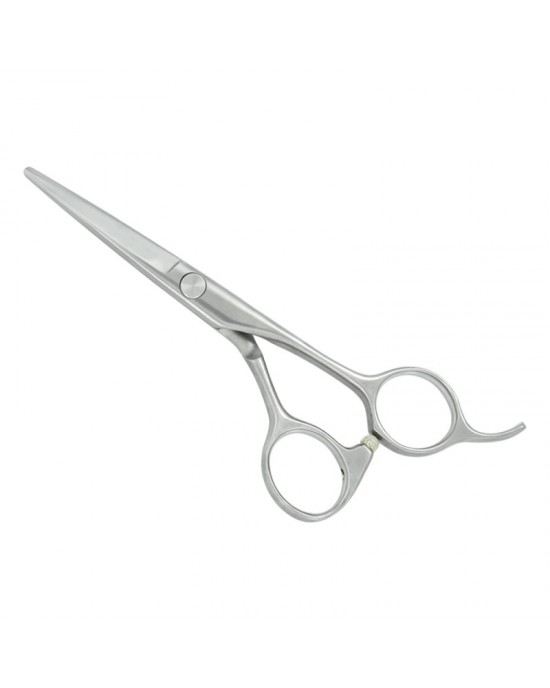 Professional Hair Cutting Scissors