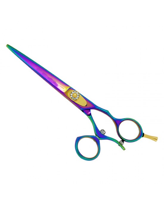 Professional Hair Cutting Scissors