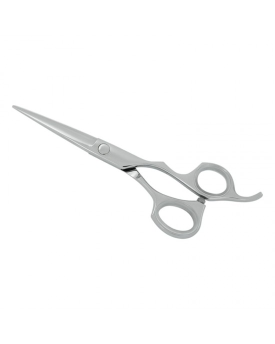 Professional Hair Cutting Scissors