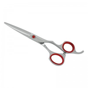 Professional Hair Cutting Scissors